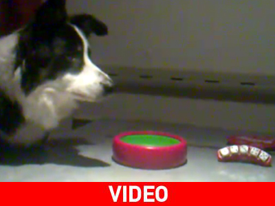 Επόμενο παιχνίδι… πόρτες