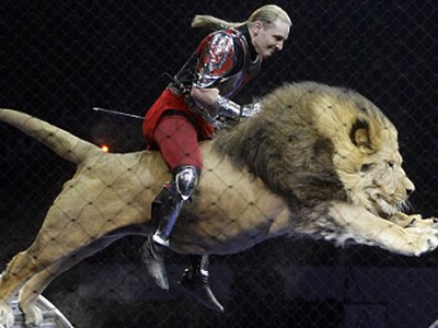 Τραγωδία με 15 νεκρά ζώα σε ρωσικό τσίρκο