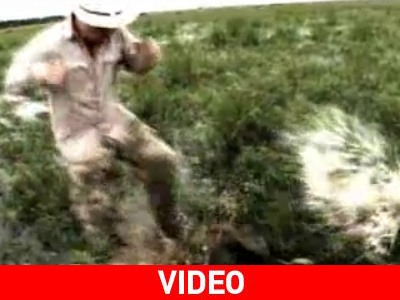 Καρέ-καρέ: Κροκόδειλος δαγκώνει παρουσιαστή Καρέ-καρέ: Κροκόδειλος δαγκώνει παρουσιαστή