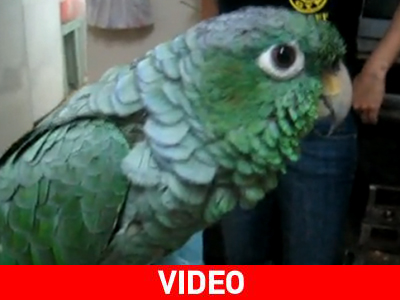 Κλαίει το μωρό…