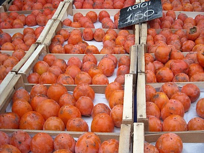 Που πήγαν οι λωτοφάγοι;