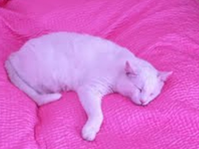 Χαρίζεται ο Χουάν