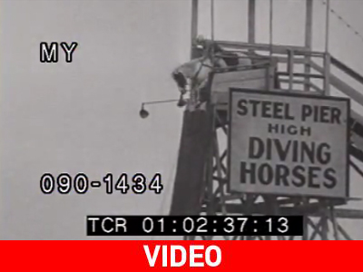 Άλογο κάνει βουτιά από βατήρα Άλογο κάνει βουτιά από βατήρα