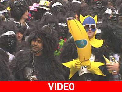 «Γορίλες» στο κέντρο του Λονδίνου «Γορίλες» στο κέντρο του Λονδίνου