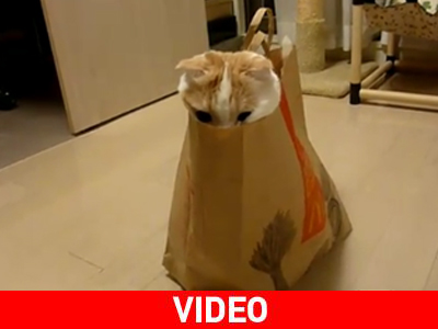 Θα το λατρέψετε!…