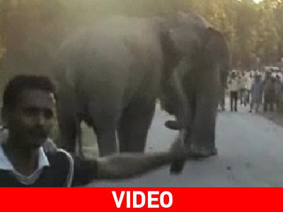 Τελικά την πληρώνουν και… οι άνθρωποι Τελικά την πληρώνουν και… οι άνθρωποι