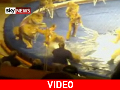 Λιοντάρια άρπαξαν τον εκπαιδευτή τους