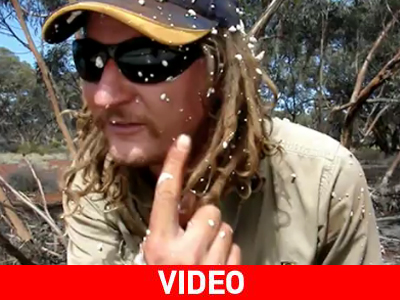 Ας πρόσεχες…