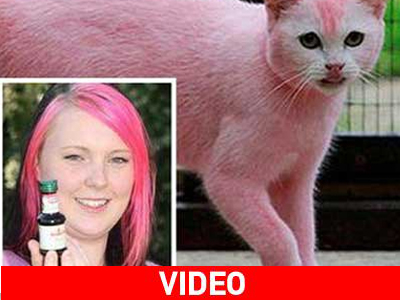 Λύθηκε το μυστήριο με τη ροζ… γατούλα Λύθηκε το μυστήριο με τη ροζ… γατούλα