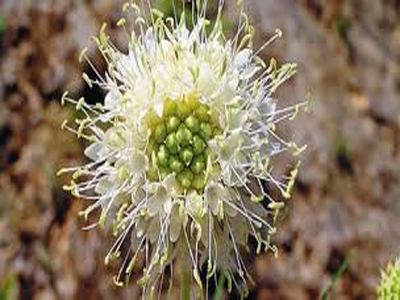 «Πακέτο στήριξης»… για το περιβάλλον