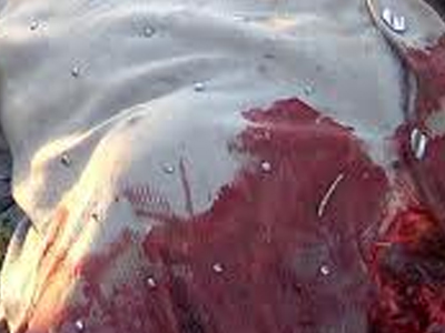 Αποκεφαλισμένο πτώμα γυναίκας βρέθηκε στο Μεξικό