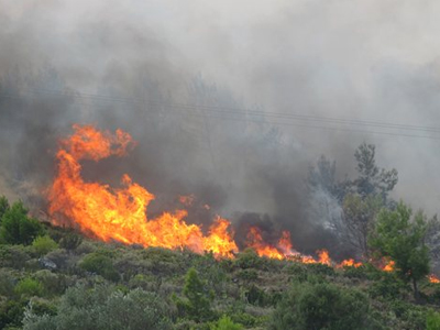 Σε εξέλιξη πυρκαγιά στη Σαλαμίνα