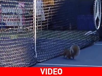 Σκίουρος διέκοψε αγώνα τένις