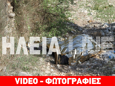 Ηλεία: Έγκλημα στα Άσπρα Σπίτια – Παραδόθηκε ο δράστης