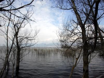 Η Θεσσαλονίκη για την Παγκόσμια Ημέρα Περιβάλλοντος