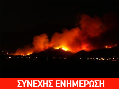 Πυρκαγιά στη Μουρτερή της Κύμης