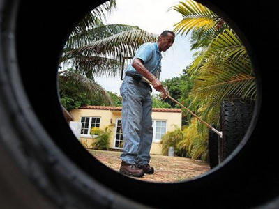 Δάγκειος πυρετός μετά από 50 χρόνια στο Μαϊάμι Δάγκειος πυρετός μετά από 50 χρόνια στο Μαϊάμι