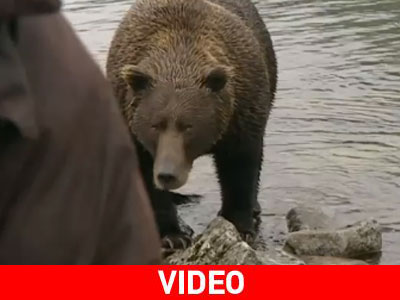 Στενές επαφές τύπου… γκρίζλι