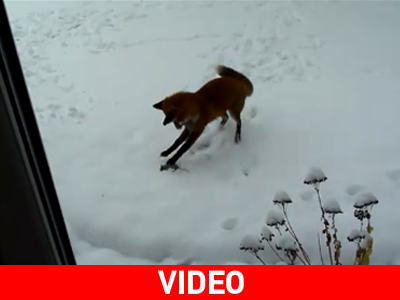 Μην παίζεις με το φαΐ σου…