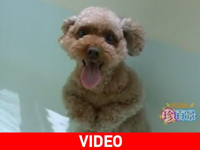 Λατρεύω το μπάνιο…