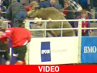 Πανικός σε ροντέο του Καναδά