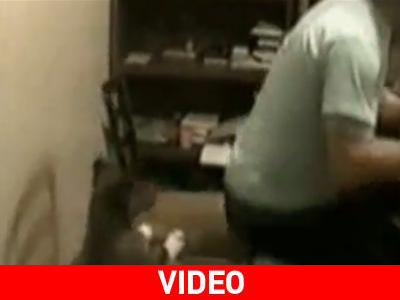 Τετράποδη… φάρσα