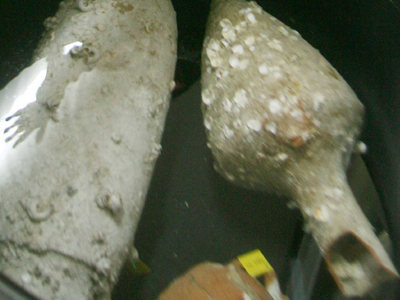 Τους συνέλαβαν με αρχαίους αμφορείς