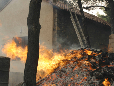 Τι αλλάζει για τα καμμένα