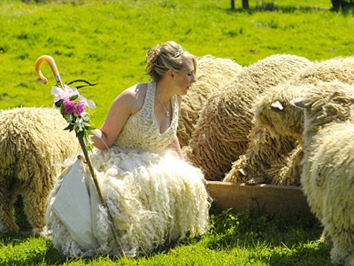 Πήγε για μαλλί και βγήκε… παντρεμένη