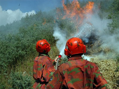 Οι εμπρηστές ήταν εθελοντές πυροσβέστες