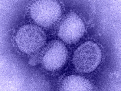 Ζητούν εξεταστική για τη νέα γρίπη