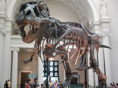 Πωλείται… Τυρανόσαυρος