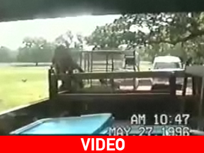 Η κλέφτρα μαϊμού με αδυναμία… στις μπύρες