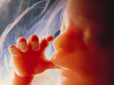 Τα “παιδιά του σωλήνα”