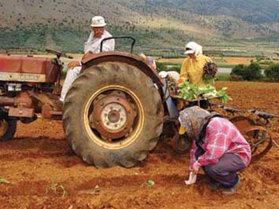 Ξεκινά η καταβολή αποζημιώσεων στους αγρότες της Ηλείας