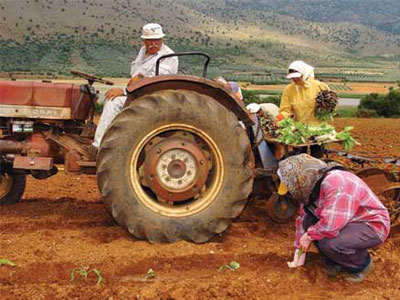 Απεγνωσμένοι οι αγρότες