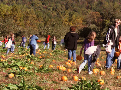 Ξεκίνησε στην Κρήτη το 1ο Πανελλήνιο συνέδριο Αγροτουρισμού