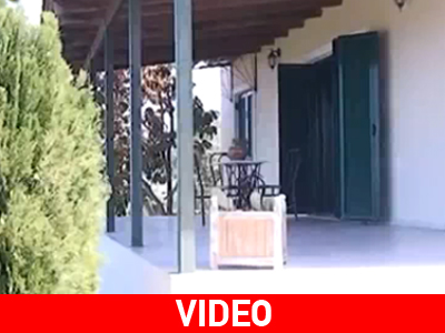 Αιματηρή ληστεία στην Ηλεία