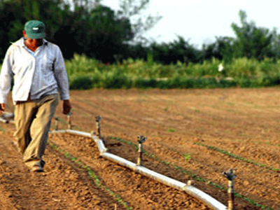 Ξεκινούν την Τρίτη οι αιτήσεις Ενιαίας Ενίσχυσης
