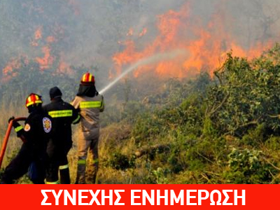 Πυρκαγιά σε χαμηλή βλάστηση στη Μεσσηνία
