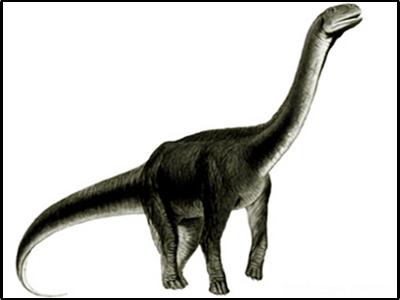 Γαλλία: Ανακαλύφθηκε νέο είδος δεινοσαύρου