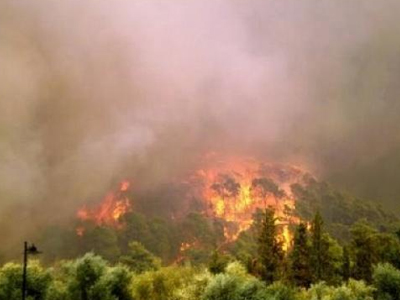 Σε εξέλιξη πυρκαγιά στην περιοχή Βουτά Ευβοίας
