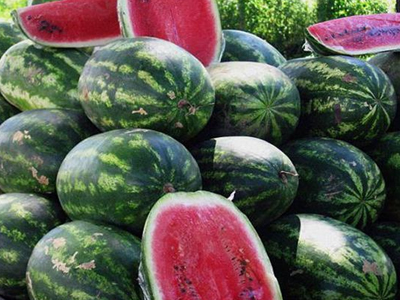 Πτώση στην τιμή του καρπουζιού κατά 9 λεπτά το κιλό