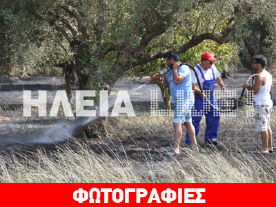 Πύργος: Πυρκαγιά έκαψε τέσσερα στρέμματα με ελιές