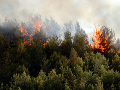 Πυρκαγιά στη Λαύκα Στυμφαλίας