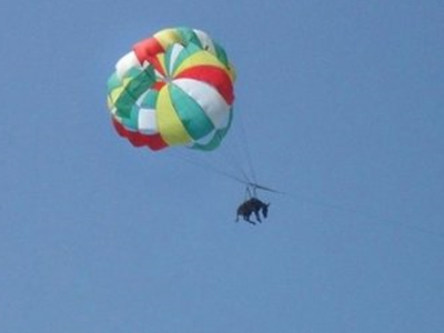 Τραυματίστηκε αλεξιπτωτιστής στα Μετέωρα