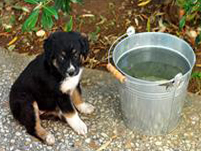 Η Αλίκη στη χώρα των θαυμάτων!