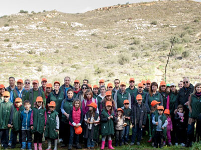 Μαζί και στην… αναδάσωση!