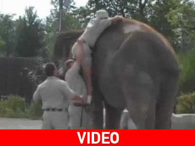 Παρ’το αλλιώς…