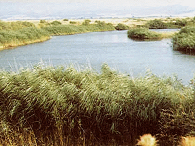 Μοιραίο ψάρεμα για 51χρονο στην Ηλεία